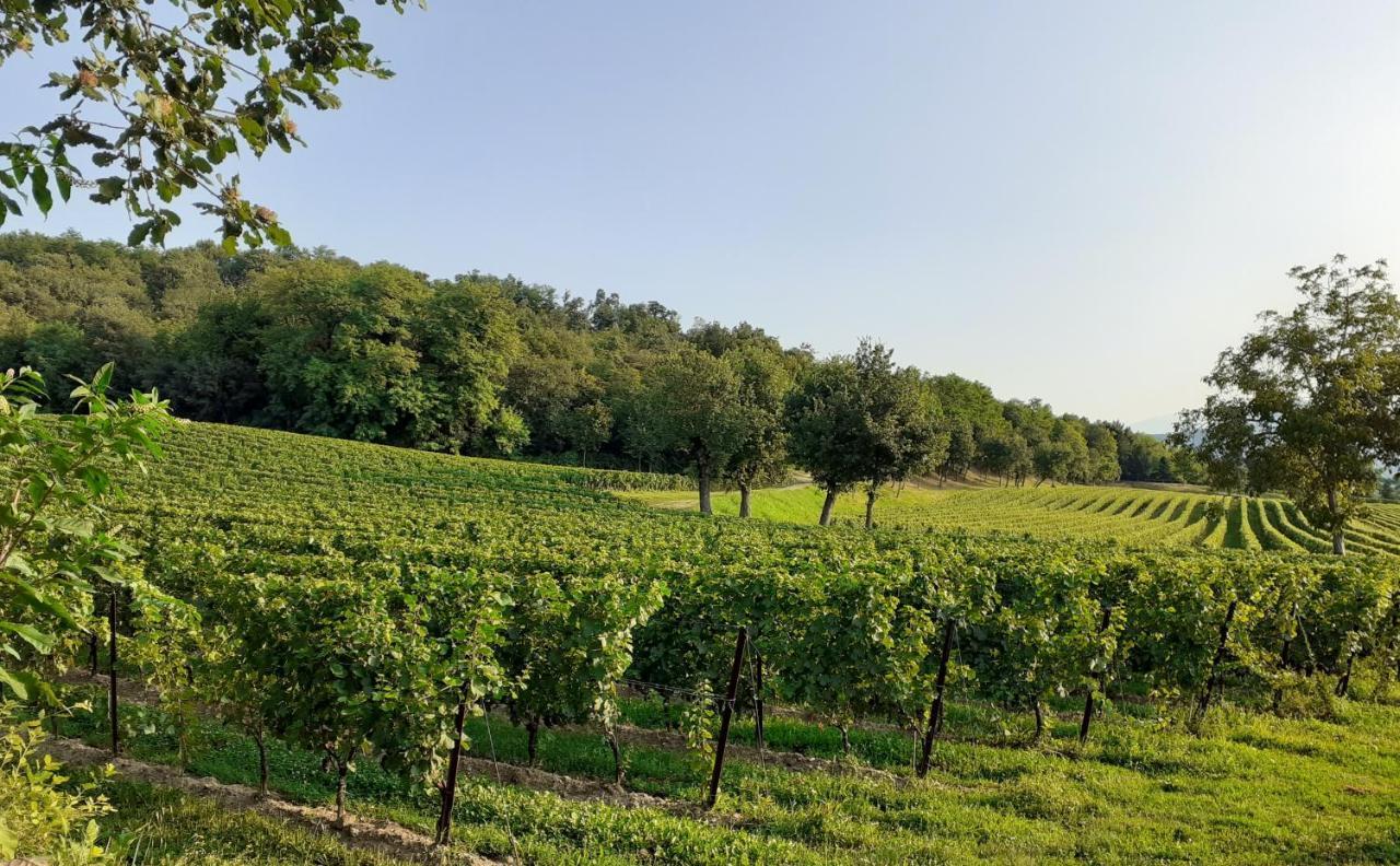 Vicolo Del Nido B&B Paderno Franciacorta Екстер'єр фото